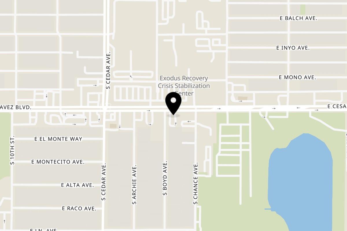 Map showing the location of The Chicken Spot Fresno on 4410 E Cesar Chavez Blvd in Fresno
